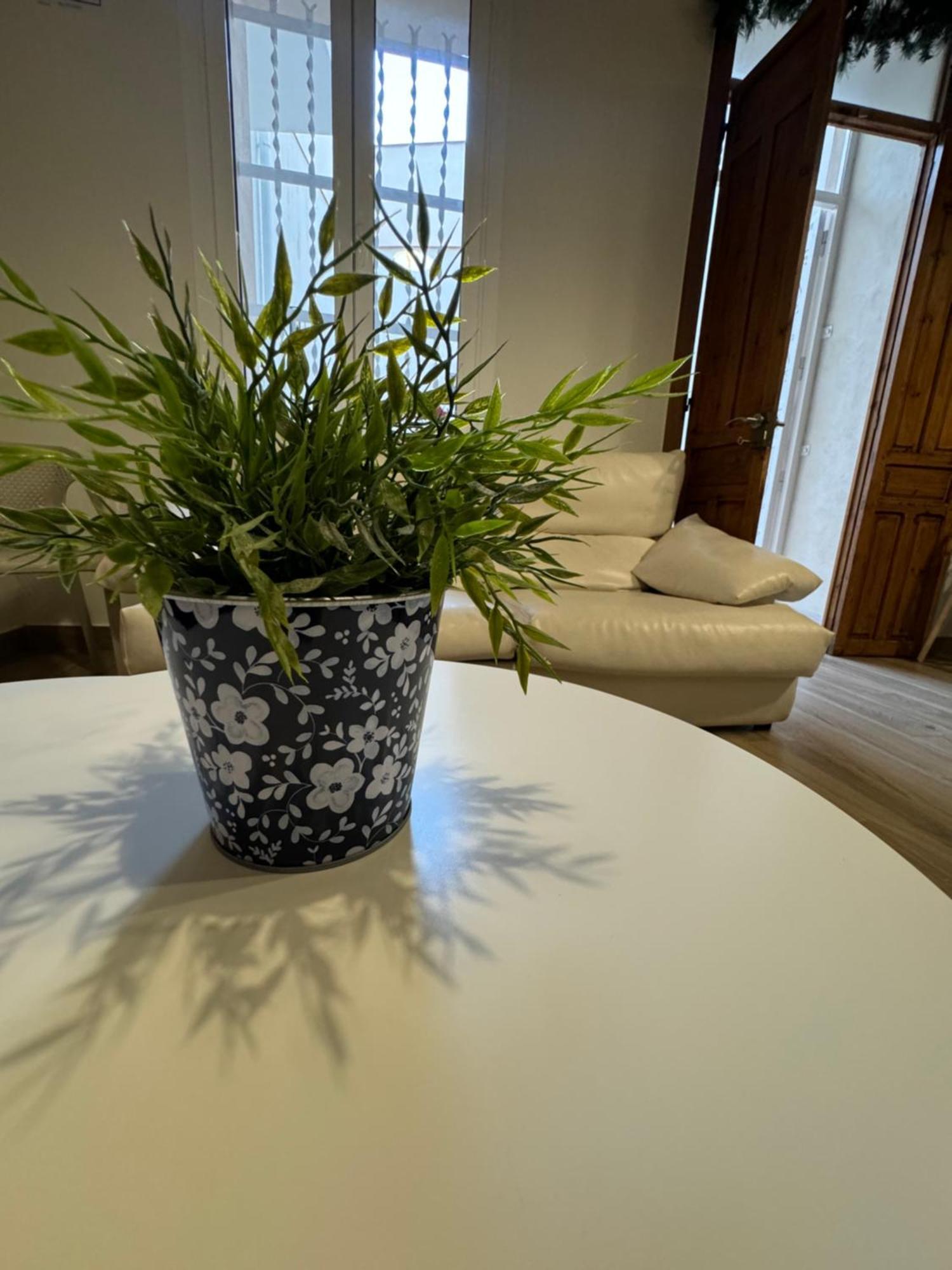 Casa Del Pasaje San Fernando Apartment อาลิกันเต ภายนอก รูปภาพ